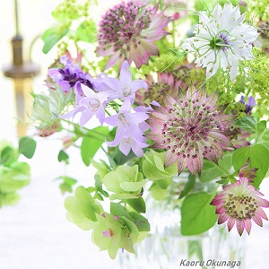 おしゃれな花の写真の撮り方 Proven Winners Japan Pw プルーブン ウィナーズ 花 花苗 ガーデニング 植物