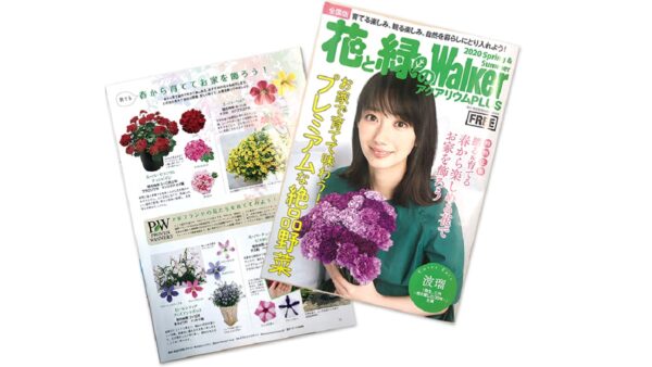 花と緑のWalker2020春・夏号」にPW品種が掲載されました！ | PROVEN