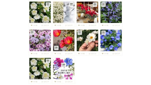 花ページ トーハン・DXイングリッシュ・ガーデン フイルム（2026年版）｜株式