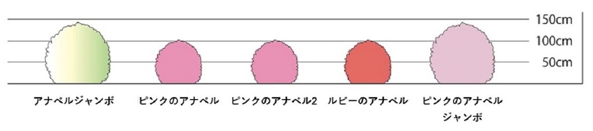 アメリカあじさいピンクのアナベルジャンボ