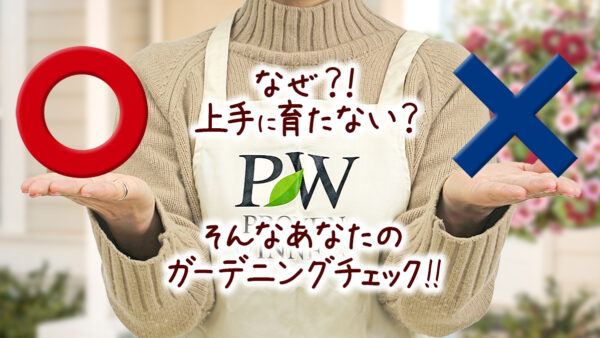 なぜ上手に育たない そんなあなたのガーデニングチェック Proven Winners Pw ガーデニング 園芸 花苗 低木 多肉植物 花 植物