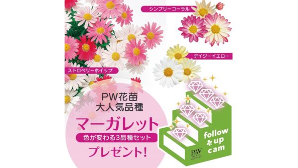 21年 Greensnap春の花苗プレゼントキャンペーン 第2弾 Proven Winners Pw ガーデニング 園芸 花苗 低木 多肉植物 花 植物