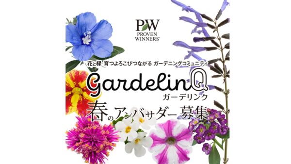 Pw 花苗アンバサダー21 春 募集 Proven Winners Pw ガーデニング 園芸 花苗 低木 多肉植物 花 植物