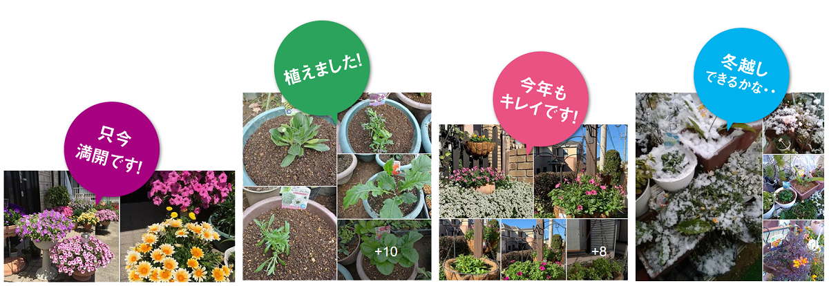 PWアンバサダー