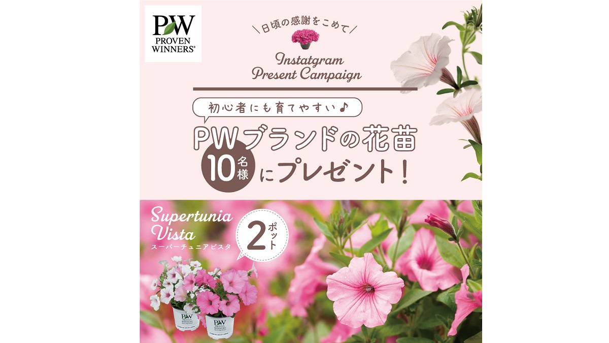 2021年 Instagram 花苗プレゼントキャンペーン【第1弾】 | PROVEN