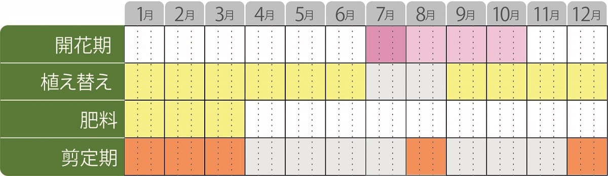 サルスベリブラックパール栽培カレンダー