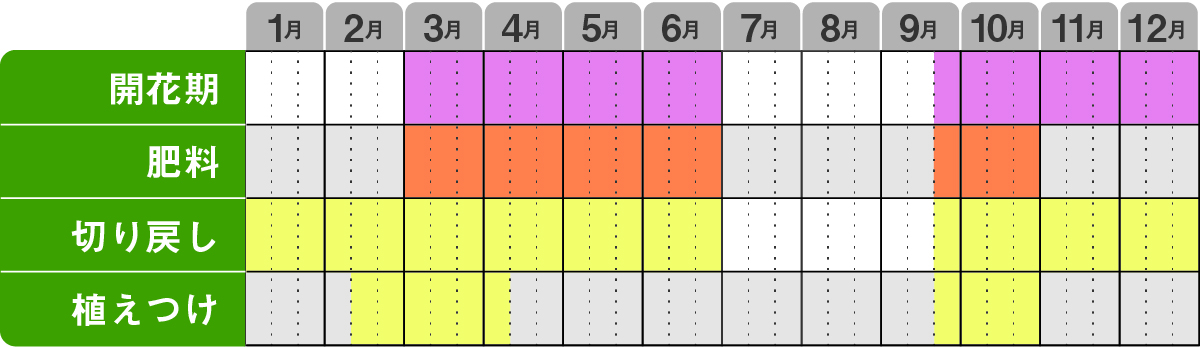 ネメシアサンサシアプラス栽培カレンダー