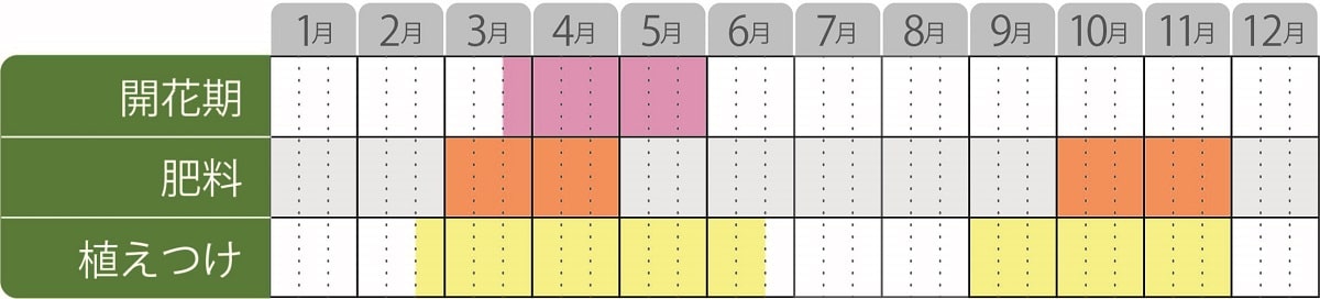 ヒューケラドルチェ栽培カレンダー