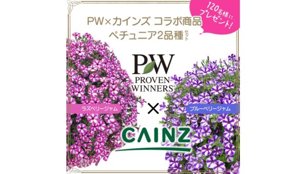 Cainz Pw コラボ企画 花苗プレゼントキャンペーン Proven Winners Pw ガーデニング 園芸 花苗 低木 多肉植物 花 植物