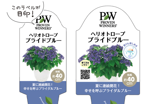 PROVEN WINNERS （PW）【植物の国際ブランド】 花苗｜シュラブ(低木 
