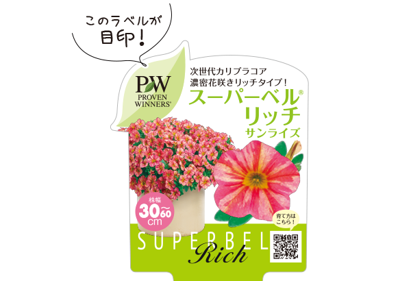 スーパーベルリッチカリブラコアラベル