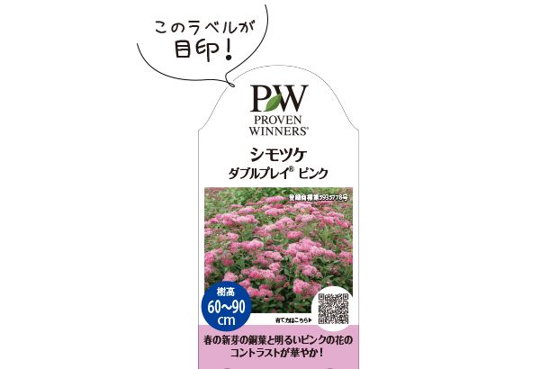 シモツケダブルプレイピンクラベル