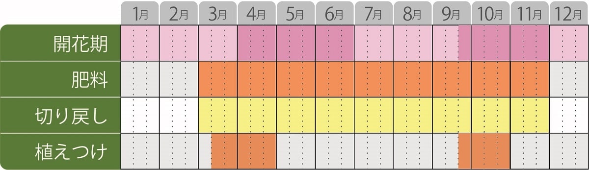 ビデンスキャンプファイヤー栽培カレンダー