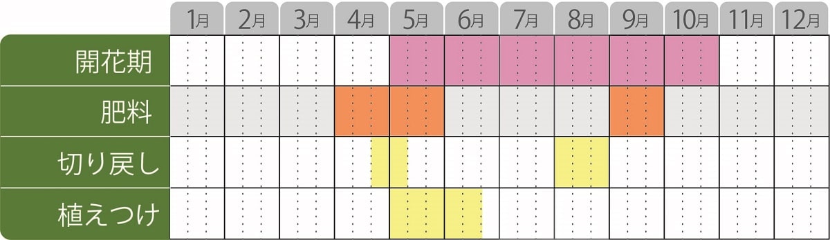 ローレンティアフィズアンドポップの栽培カレンダー