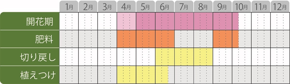 ヘリオトロープ ブライドブルーの育て方 Pw 植物の国際ブランド 花苗 シュラブ 低木 ペレニアル 宿根草 多年草 多肉植物 の育つよろこびをお届けします
