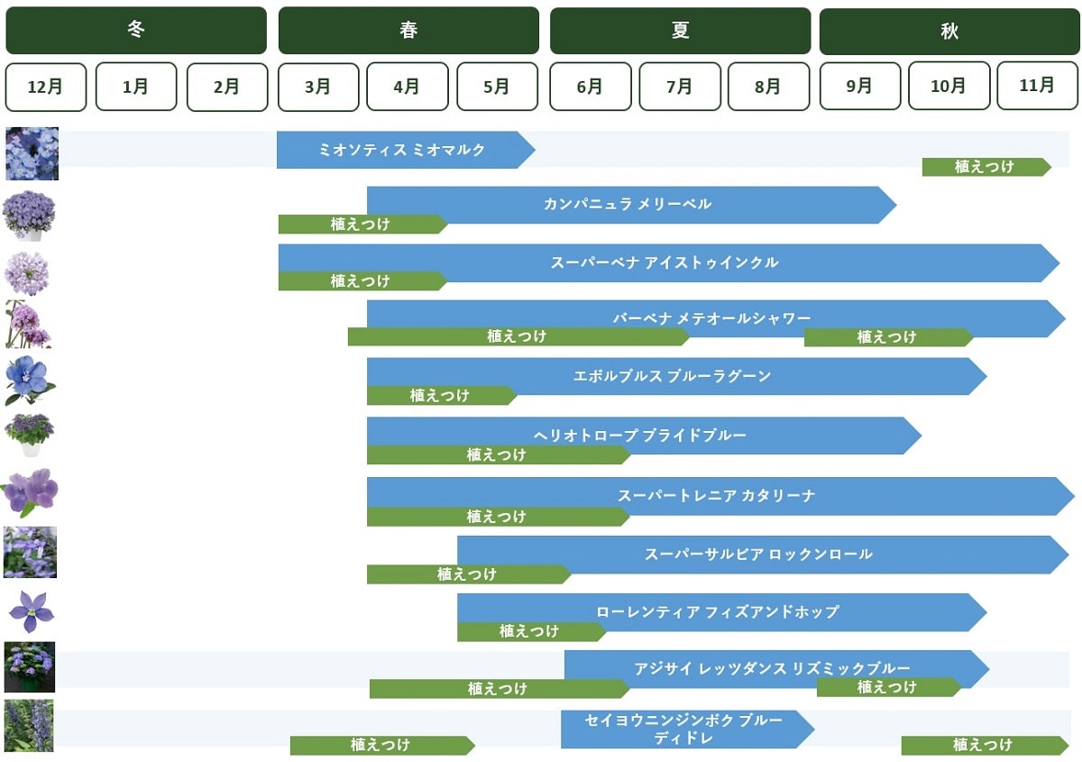 青い花13選 春夏おすすめの丈夫な青い花の魅力や特徴をご紹介 Pw ガーデニング 園芸 花苗 低木 多肉植物 花 植物 Proven Winners プルーブンウィナーズ