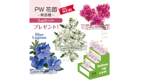 21年 Greensnap春の花苗プレゼントキャンペーン 第5弾 Proven Winners Pw ガーデニング 園芸 花苗 低木 多肉植物 花 植物