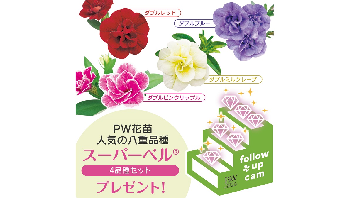 2021年 GreenSnap春の花苗プレゼントキャンペーン【第4弾】 | PROVEN