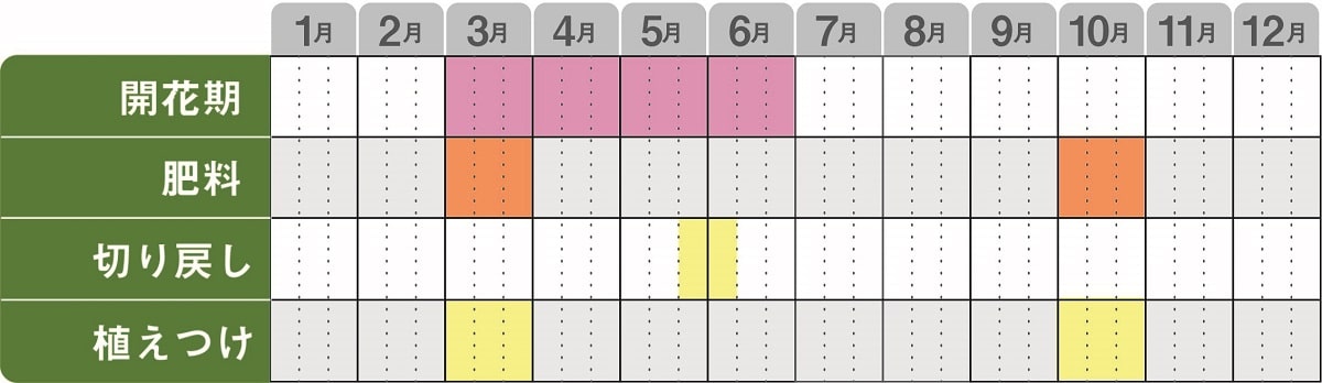 エリシマムスプリングパーティー栽培カレンダー