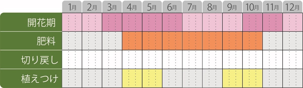 カレンデュラパワーデイジー栽培カレンダー