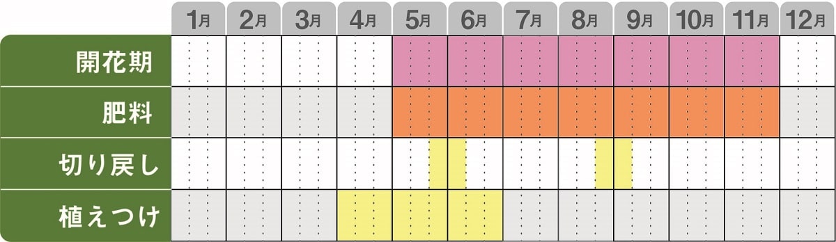 サンビタリア栽培カレンダー