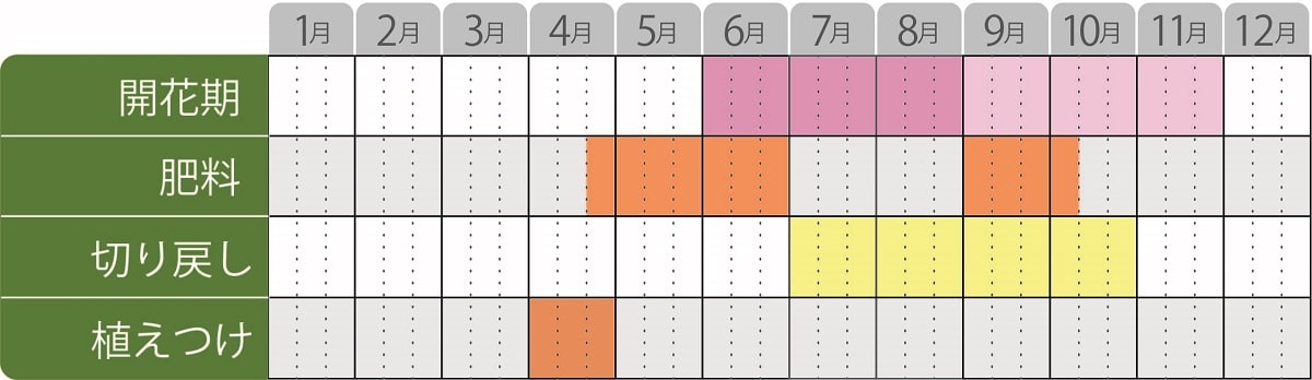 ジギタリス栽培カレンダー