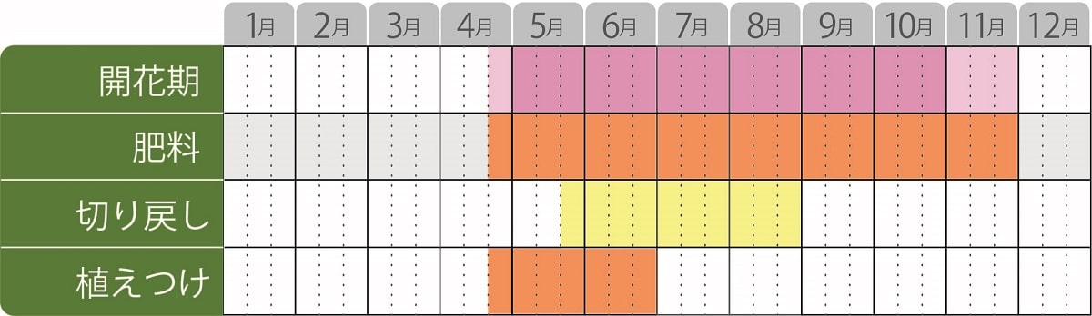スーパーランタナ栽培カレンダー