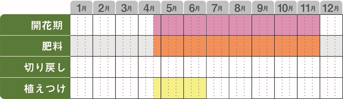 スーパーランタナ栽培カレンダー