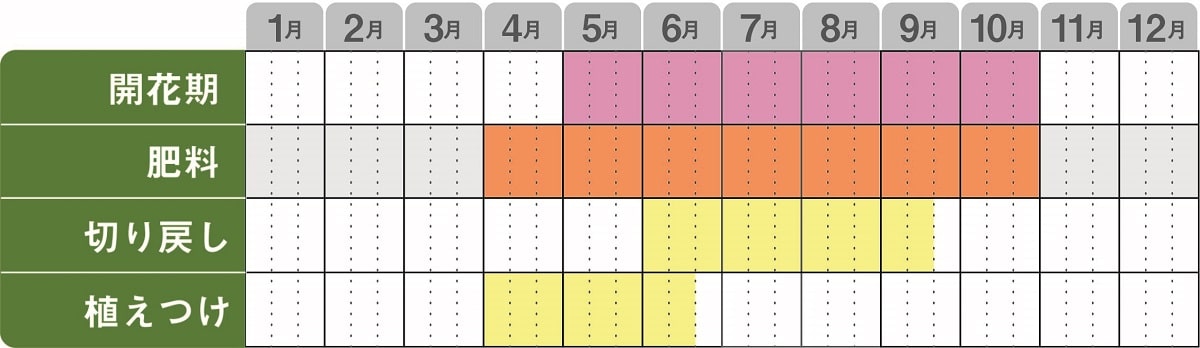 ニーレンベルギアカップフラワー栽培カレンダー