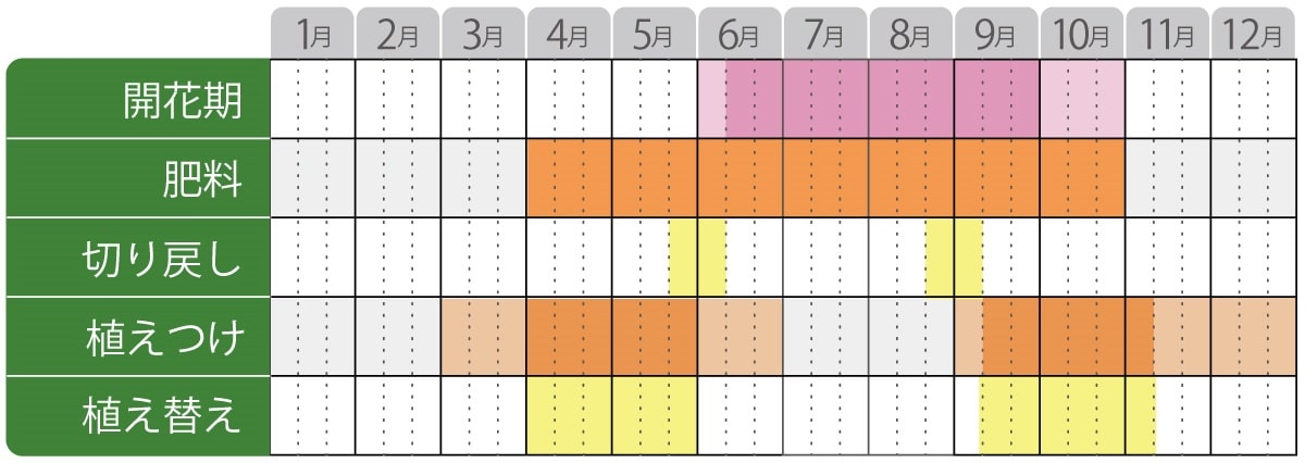 ルドベキアアーバンサファリ栽培カレンダー
