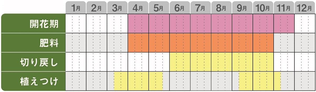 スーパーゼラニウム栽培カレンダー