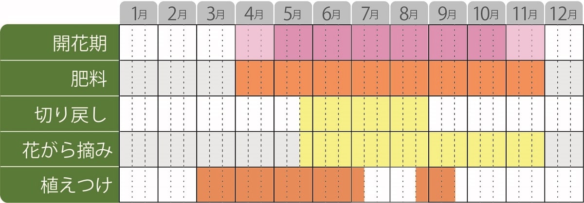 スーパーベル栽培カレンダー