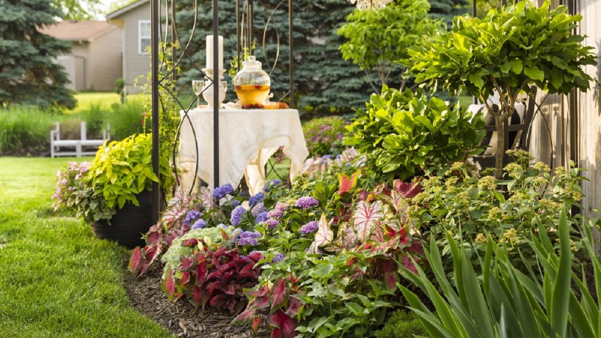 おしゃれなお庭を作ろう ガーデンの種類と基本 Proven Winners Pw ガーデニング 園芸 花苗 低木 多肉植物 花 植物
