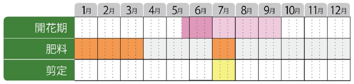 クロバナロウバイアフロディーテ栽培カレンダー