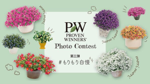 PWフォトコン2021 【第3弾】#もりもり自慢 部門 | PROVEN WINNERS (PW