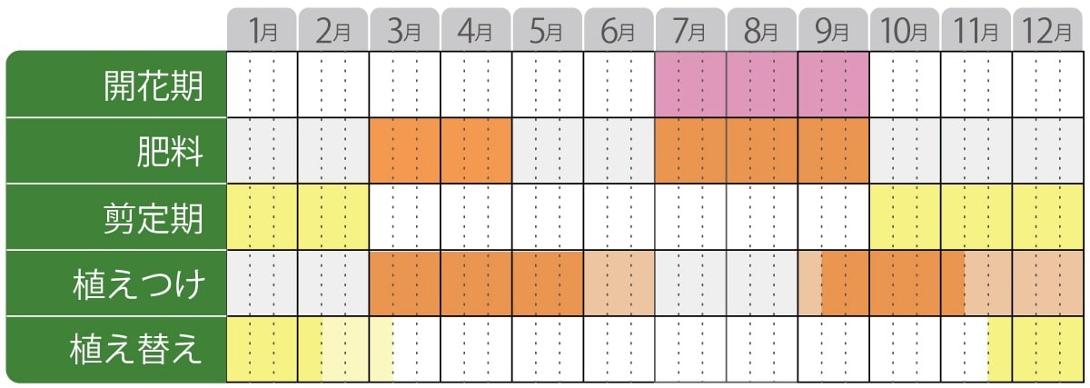 ノリウツギの育て方 Proven Winners Pw ガーデニング 園芸 花苗 低木 多肉植物 花 植物