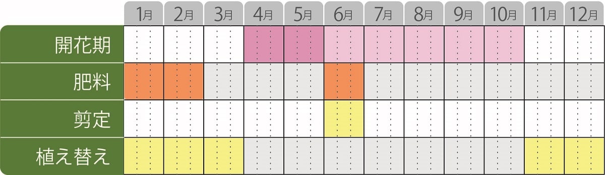 姫ライラックの育て方 Proven Winners Pw ガーデニング 園芸 花苗 低木 多肉植物 花 植物