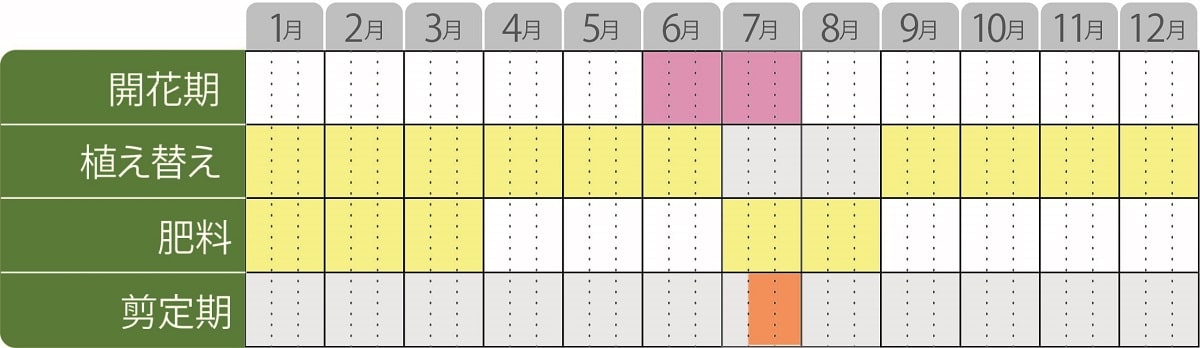 アジサイパラプルー地植え栽培カレンダー