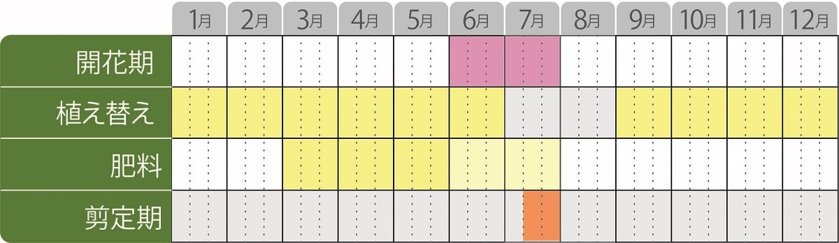アジサイパラプルー栽培カレンダー