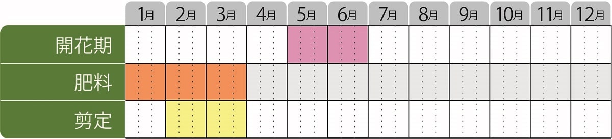 コルヌスゴールデンシャドウ栽培カレンダー