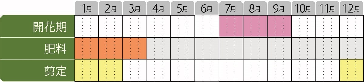 セイヨウニンジンボク栽培カレンダー