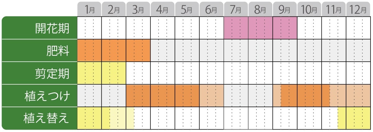 ノリウツギ栽培カレンダー