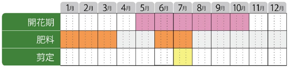 ワイゲラ栽培カレンダー
