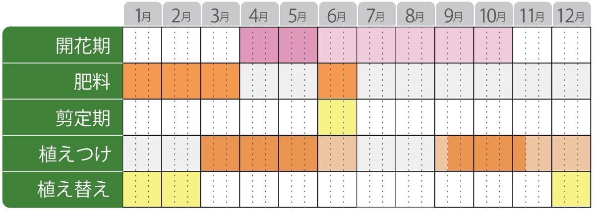 姫ライラックの栽培カレンダー