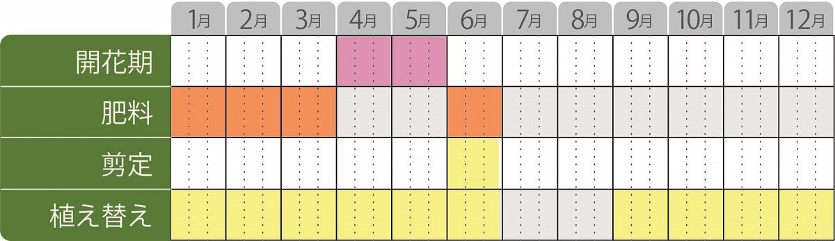 姫ライラック栽培カレンダー