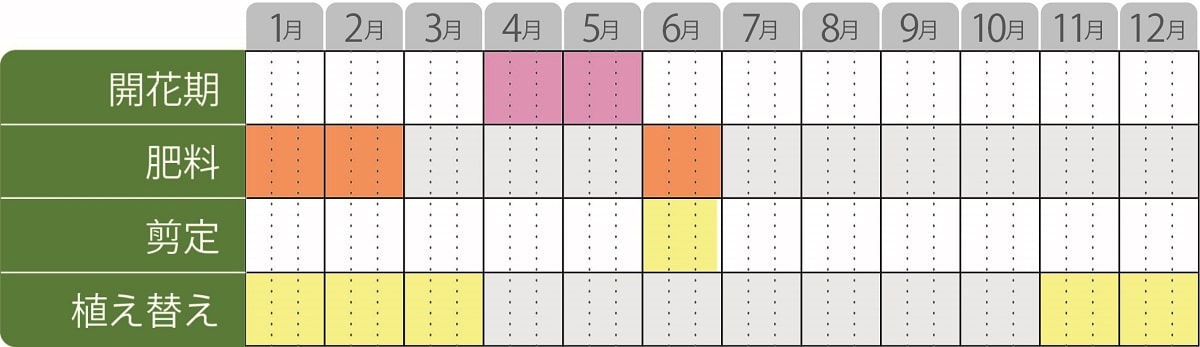 姫ライラック栽培カレンダー