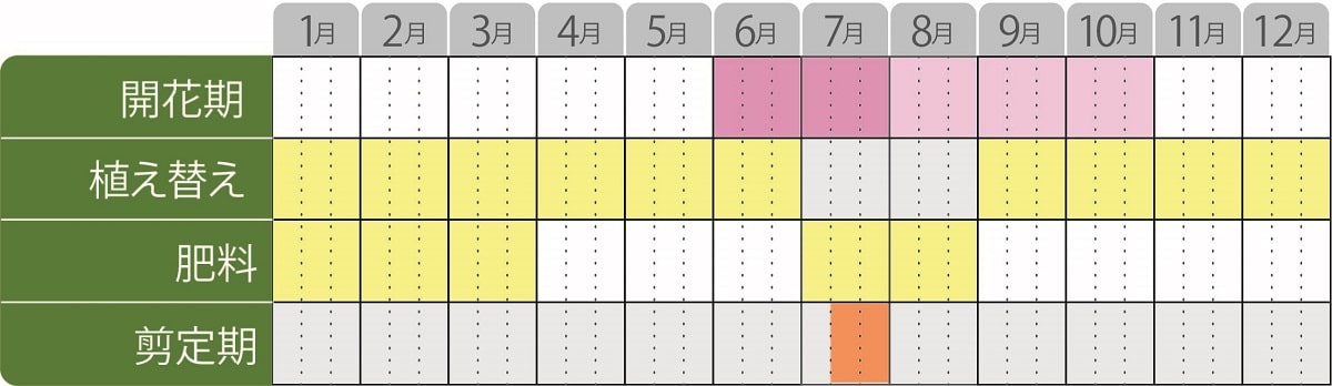 栽培カレンダーアジサイレッツダンス