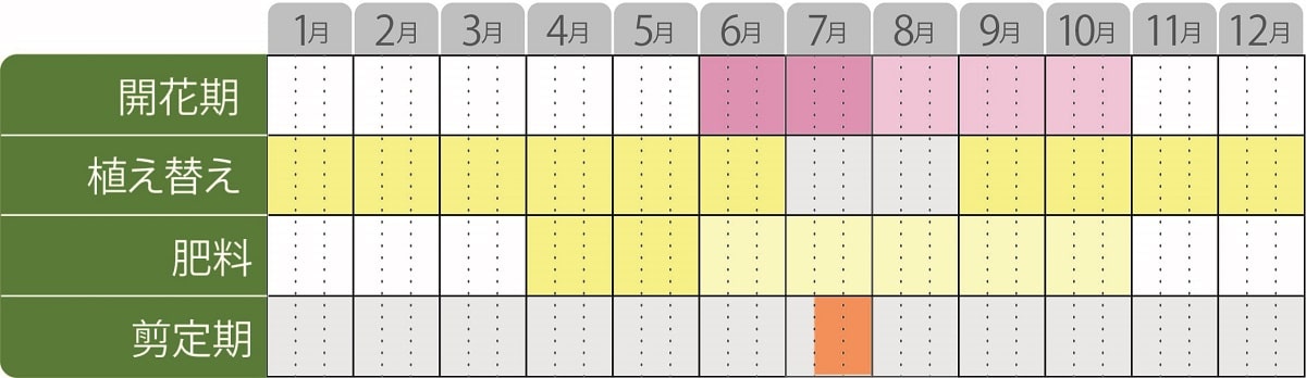 栽培カレンダーアジサイレッツダンス