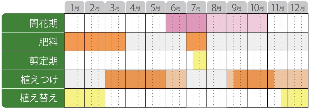 アジサイレッツダンス地植えの栽培カレンダー