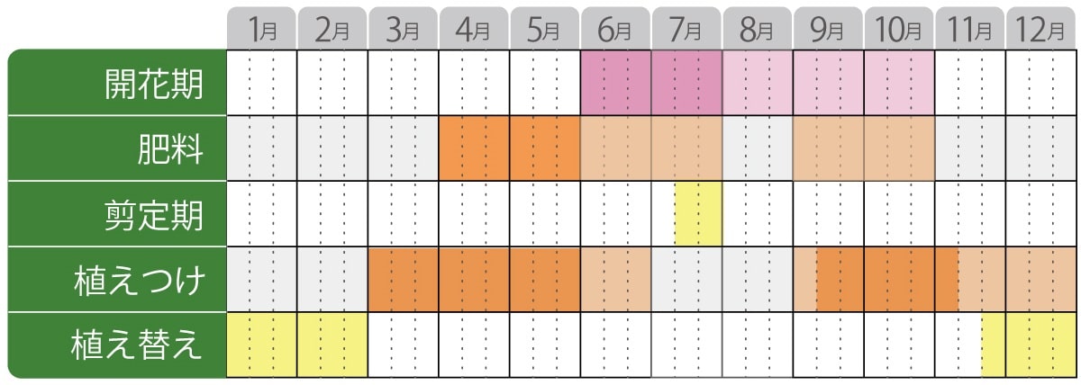 アジサイレッツダンス鉢植えの栽培カレンダー
